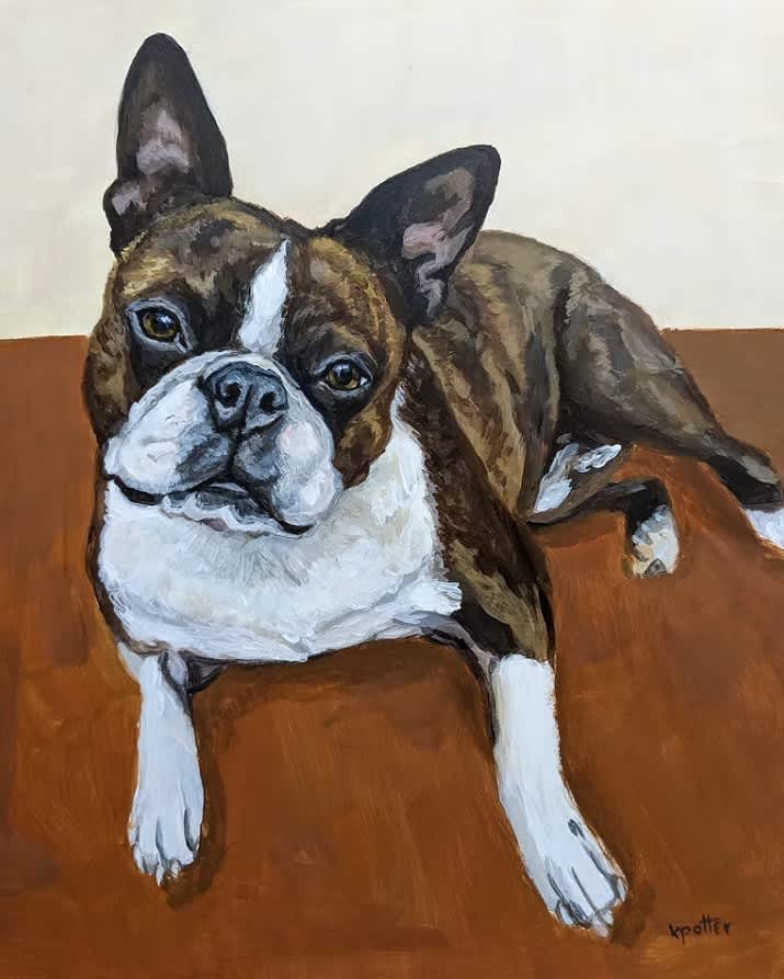 pet portrait portfolio image