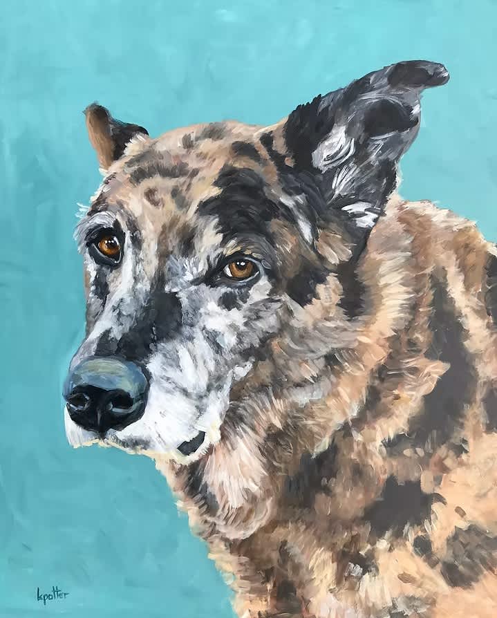pet portrait portfolio
