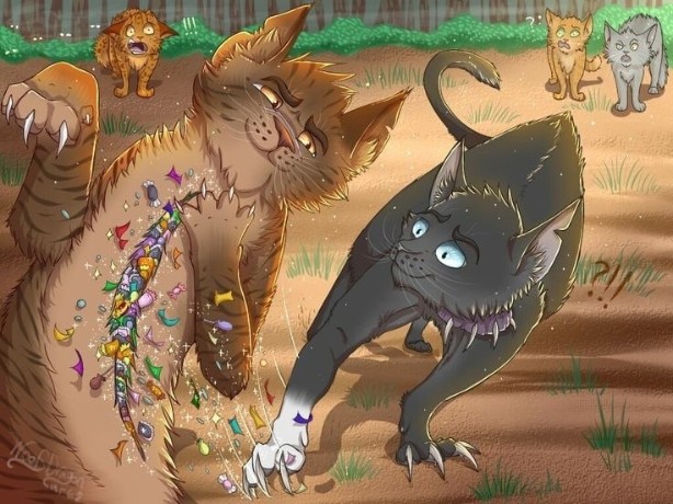 Quiz Image