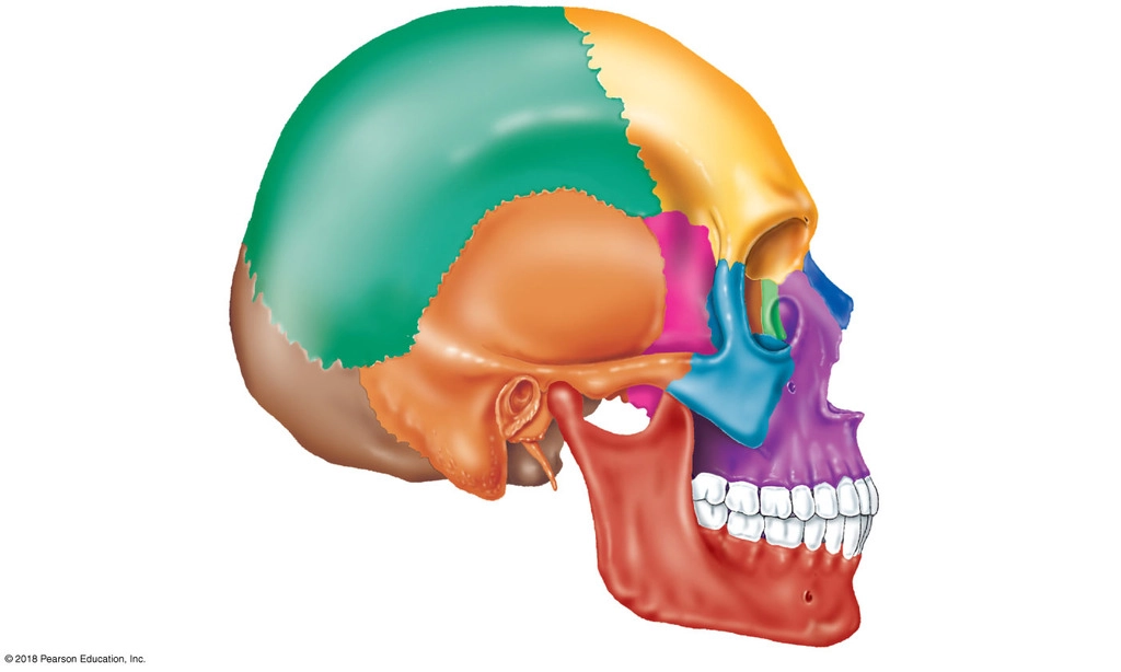 Quiz Image