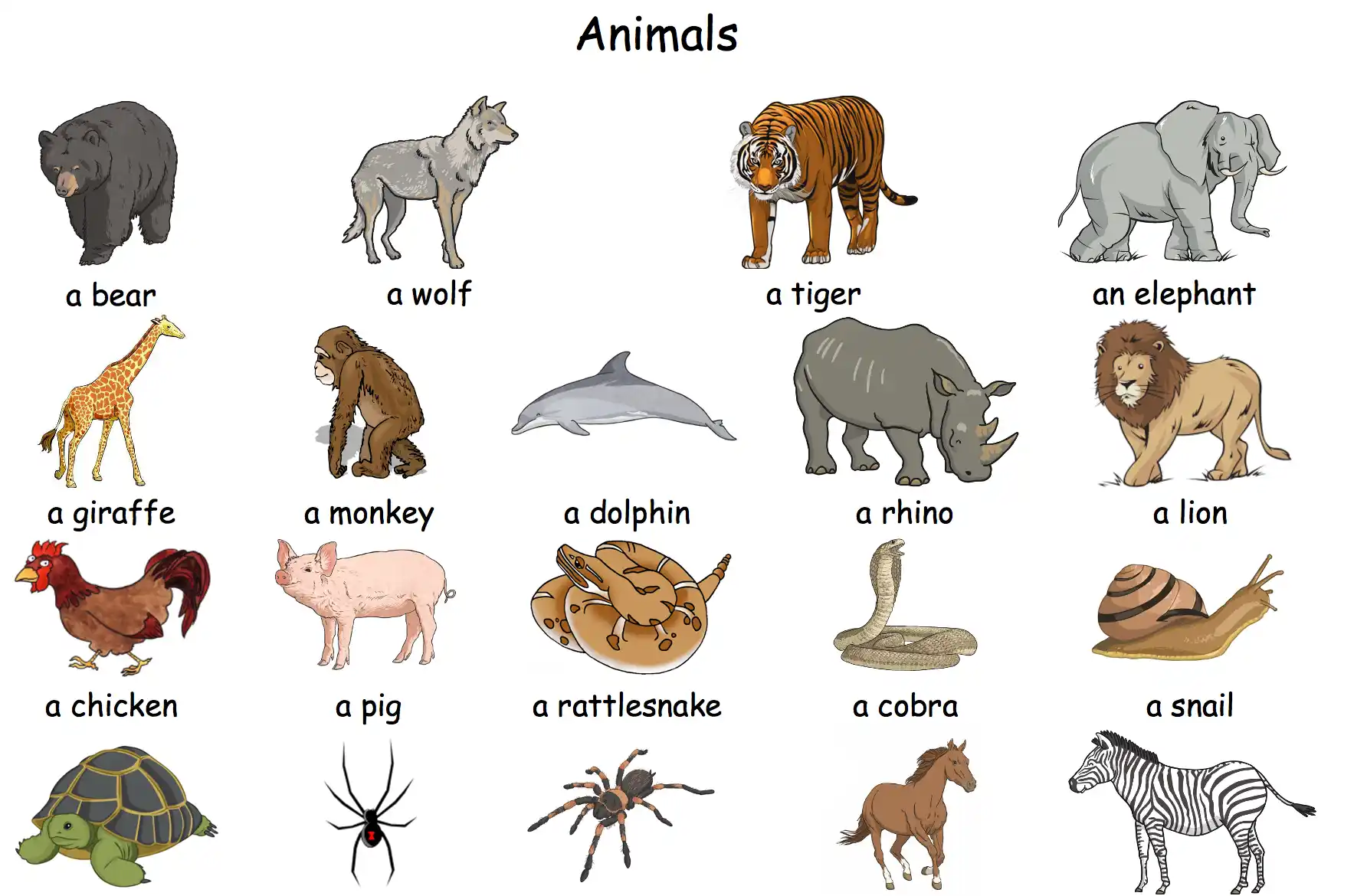 Quiz Image