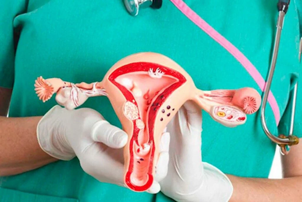 Quiz Image