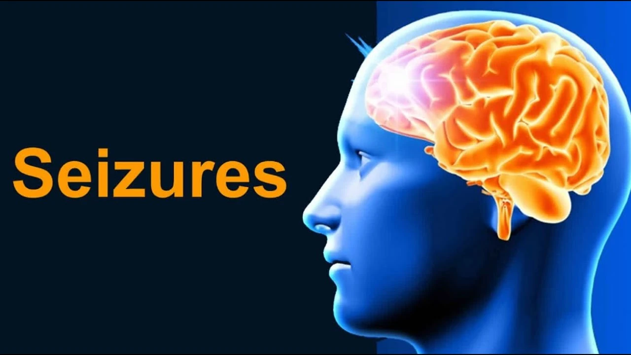 Quiz Image