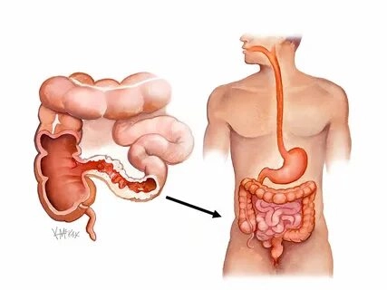 Quiz Image