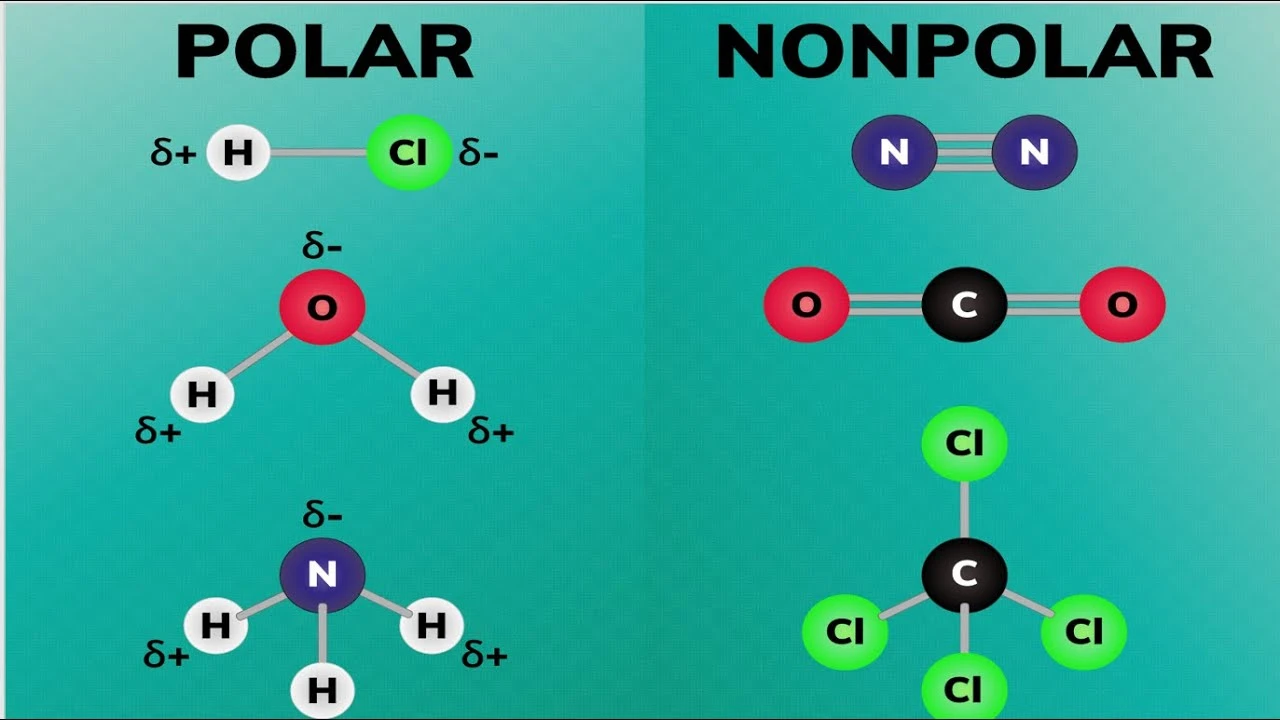 Quiz Image