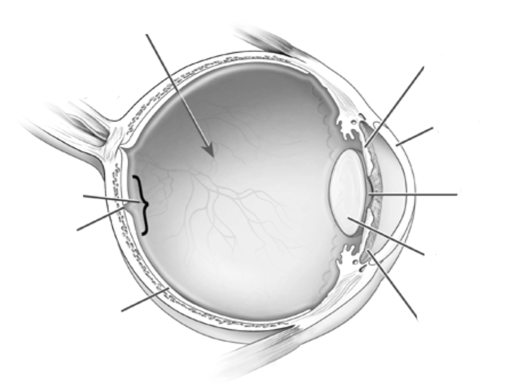 Quiz Image