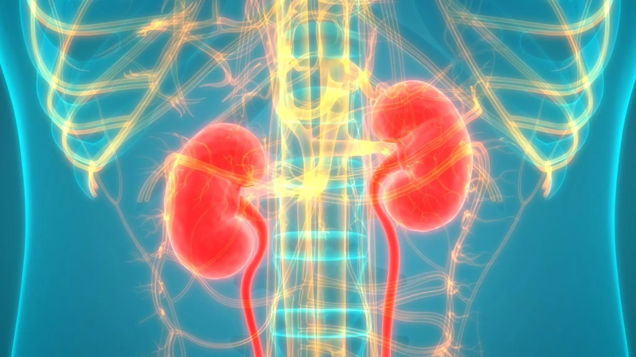 Challenge Your ESRD Knowledge with Our Comprehensive Quiz!
