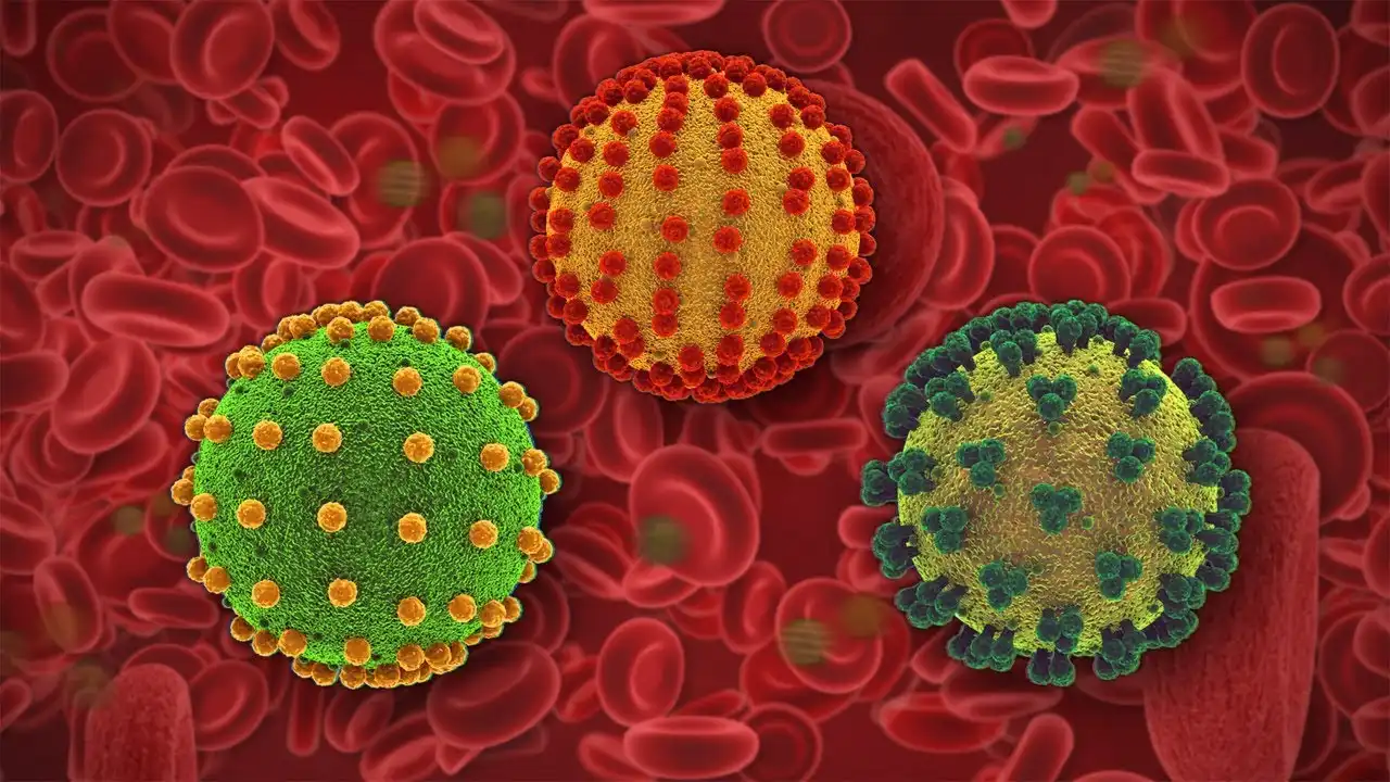 Quiz Image
