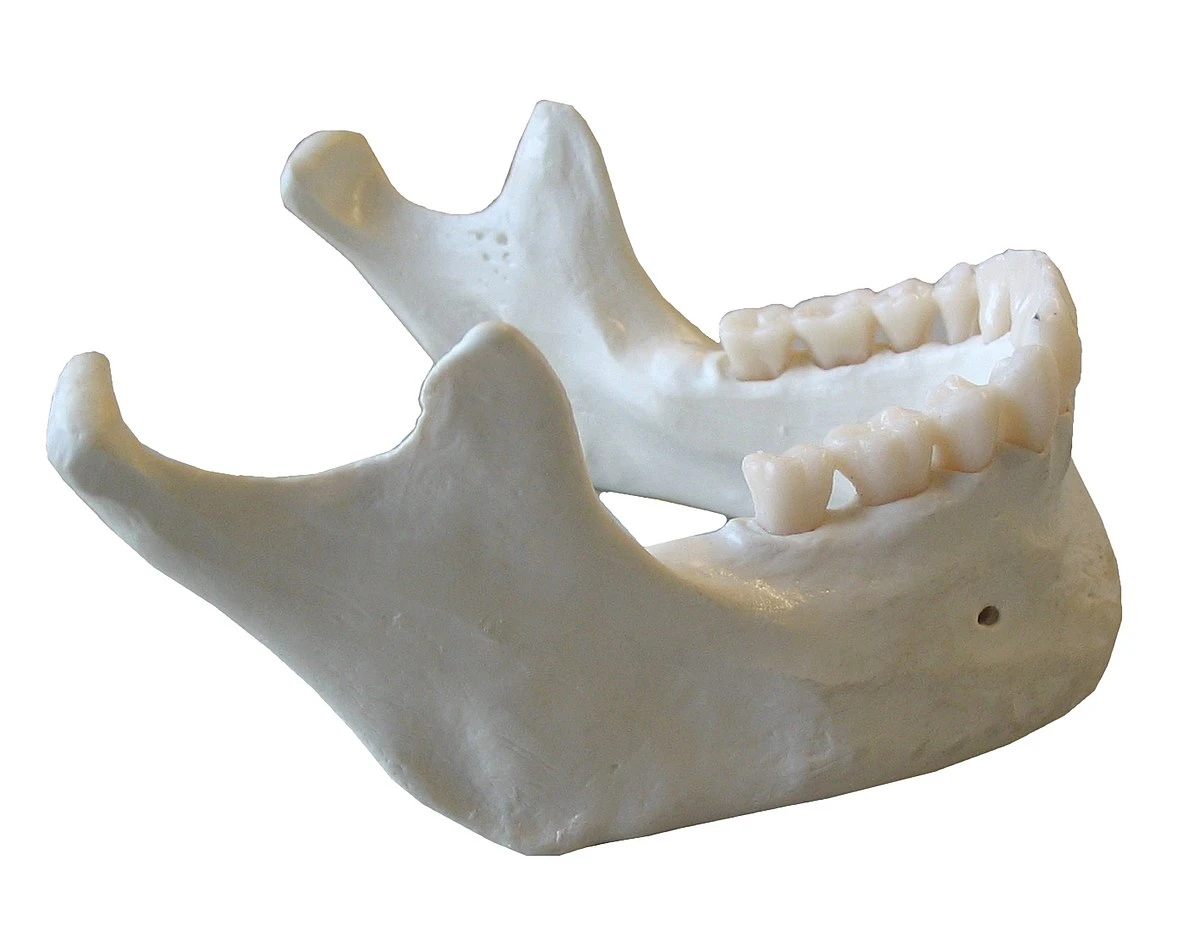 Quiz Image