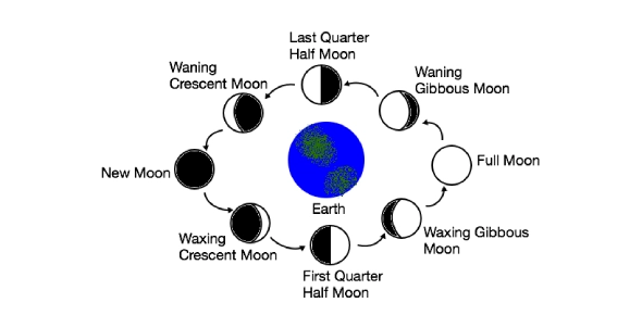 Ultimate Space Trivia Challenge: Test Your Cosmic Knowledge!