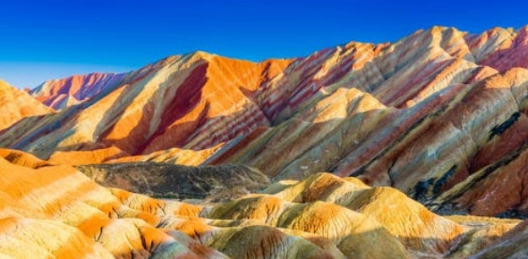 Quiz Image