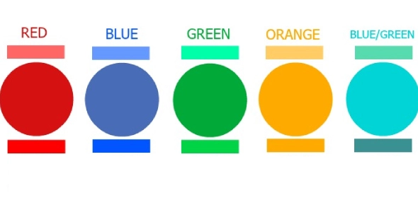Quiz Image