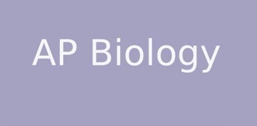 Quiz Image