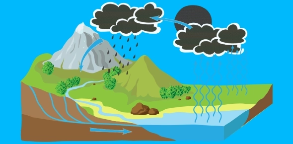 Quiz Image