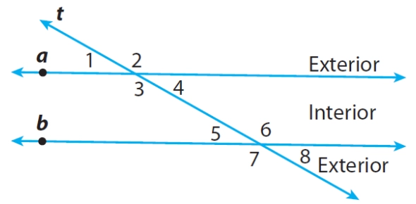 Quiz Image
