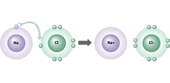 Quiz Image