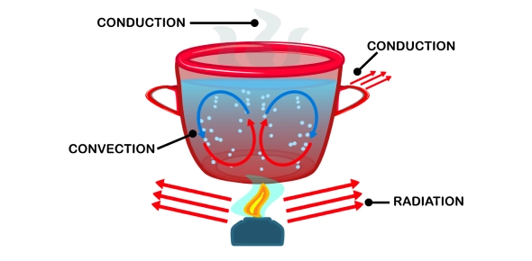 Quiz Image