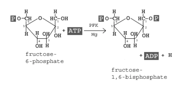 Quiz Image