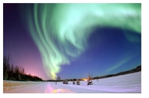 Quiz Image