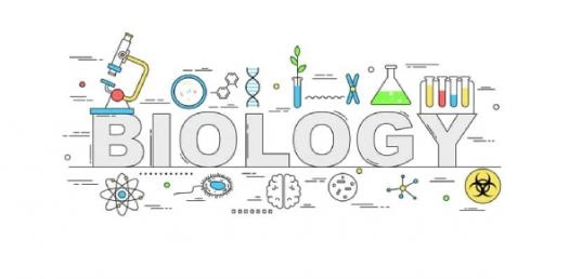 Quiz Image