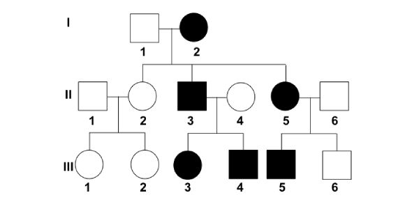 Quiz Image