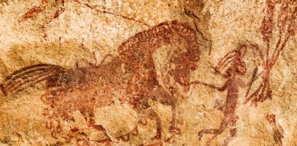 Quiz Image