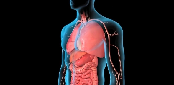 Quiz Image