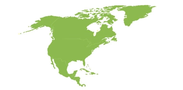 Quiz Image