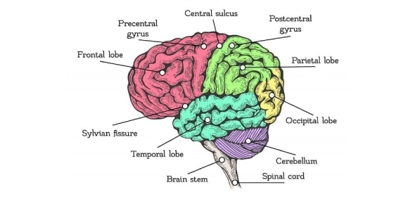 Quiz Image