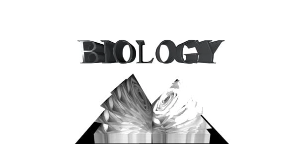 Quiz Image