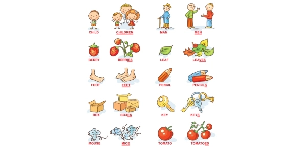 Quiz Image