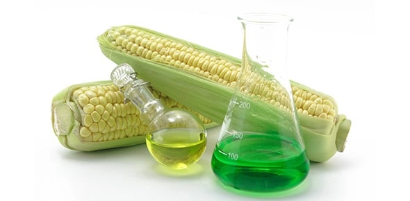 Quiz Image