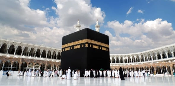Quiz Image