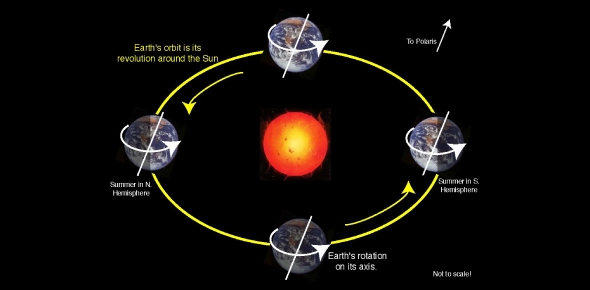 Quiz Image