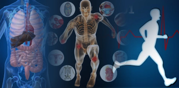 Quiz Image