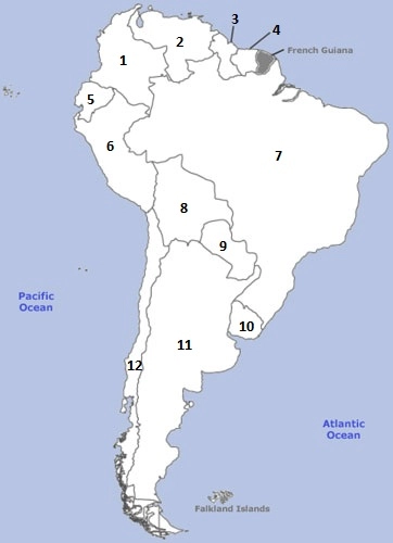 Quiz Image