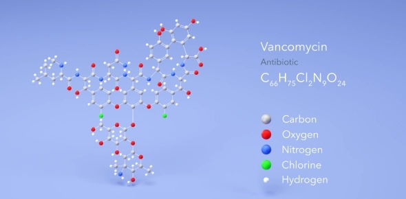 Quiz Image