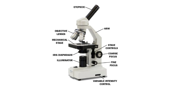 Quiz Image