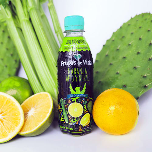 Nopal para bajar de peso como se prepara