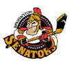 Belleville Senators