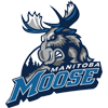 Manitoba Moose