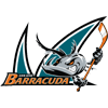 San Jose Barracuda