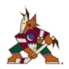 Arizona Coyotes