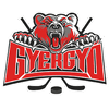 Gyergyoi HK