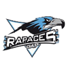 Rapaces de Gap