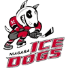 Niagara Icedogs