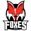 HC Bolzano-Bozen Foxes