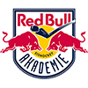 Red Bull Hockey Juniors