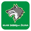 HK Vlci Zilina
