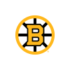 Boston Bruins